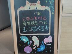 -御宝贝·A梦猫科宠物医院(国际猫友好医院)