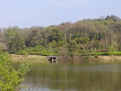 -宜兴龙背山森林公园
