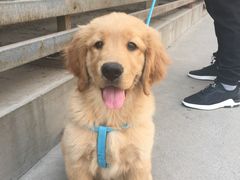 -惠康宠物医院(华能路店)