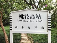 -金鸡湖桃花岛