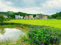 -红山村