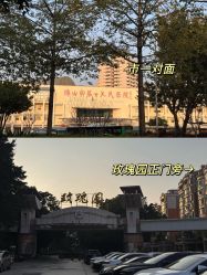 -生命加•Q考拉月子会所(玫瑰园店)