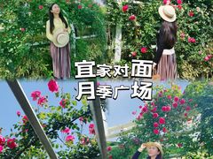 -IKEA宜家家居(南京商场)