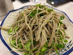 香椿苗拌豆腐丝-九头鸟酒家(四道口店)