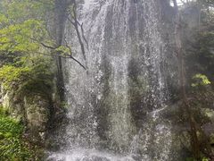 -桃花岛风景旅游区