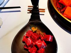 -小龙翻大江文化火锅(宽窄店)