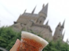 -哈利波特魔法世界
