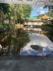 -爱帝宫月子中心(罗湖别墅院)