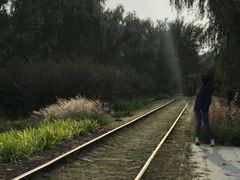 -永定河休闲森林公园