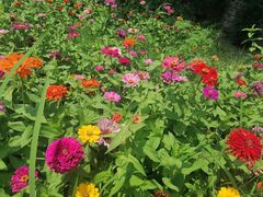 -长安大学(北校区)