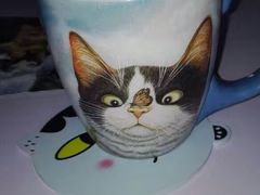 -喵的天空名猫咖啡馆·撸猫·猫舍·用品