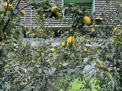 -憩泰SPA(三林店)