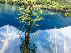 -乡土特色.冷锅鱼.牦牛肉汤锅
