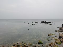 -养马岛旅游度假区