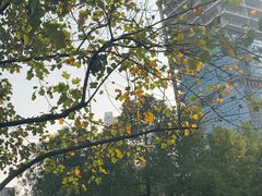 -西北湖绿化广场