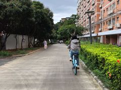 -广西大学(大学东路校区)