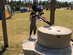 -上海长兴岛郊野公园