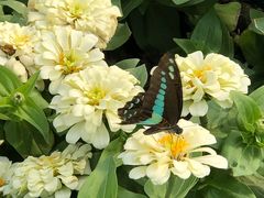 -上海市龙华烈士陵园