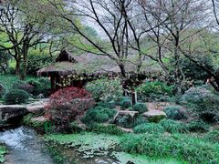 -中国茶叶博物馆(双峰馆区)