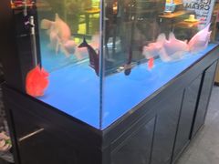 -钳小厨疯味1987肉蟹煲(美一城广场店)