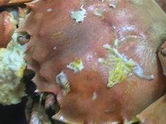 -喜洋洋蟹庄(阳澄湖店)