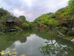 -云溪植物园