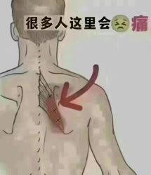 -名发世家烫染