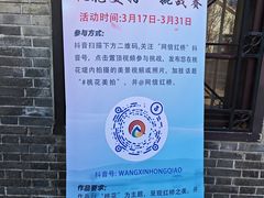 -桃花堤公园