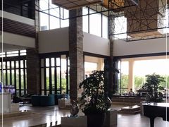 -三亚海棠湾喜来登度假酒店大堂吧