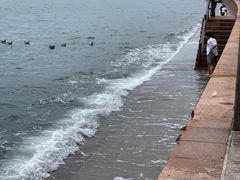 -悦海公园