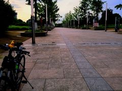 -九里河湿地公园