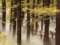 -国家植物园南园