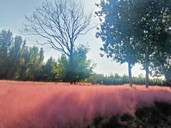 -汉长安城未央宫国家考古遗址公园