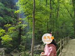 -牛背梁国家森林公园