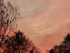 -哈尔滨师范大学(松北校区)