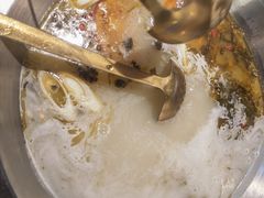 -土著渔匠·养生蝴蝶鱼(香樟路店)