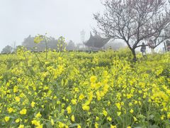 -石潭村