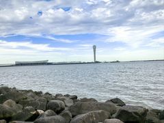 -上海吴淞炮台湾国家湿地公园