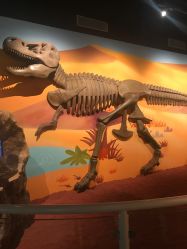 -北京科学中心儿童乐园