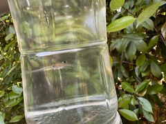 -白塔湖国家湿地公园