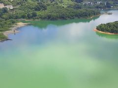 -广州市流溪河国家森林公园