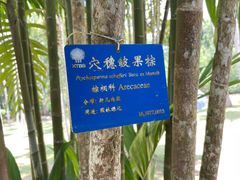 -中国科学院西双版纳热带植物园