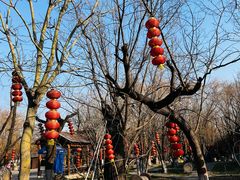 -大槐树寻根祭祖园