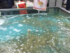-盒马鲜生(宝地店)