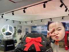 -上海德星奔驰(江杨南路店)