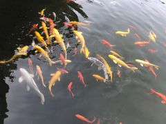 -广州神农草堂中医药博物馆