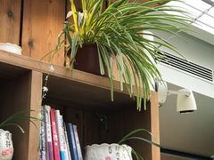 -Mr.Fruits水果先生(朝阳门悠唐店)