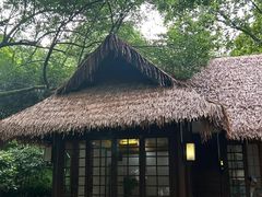 -中国茶叶博物馆(双峰馆区)