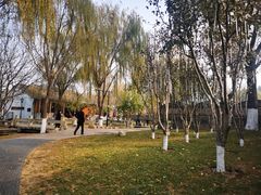 -春风习习