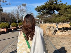 -济南国际园博园